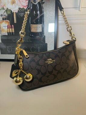 Coach Teri Brown Signature Canvas Shoulder Bag